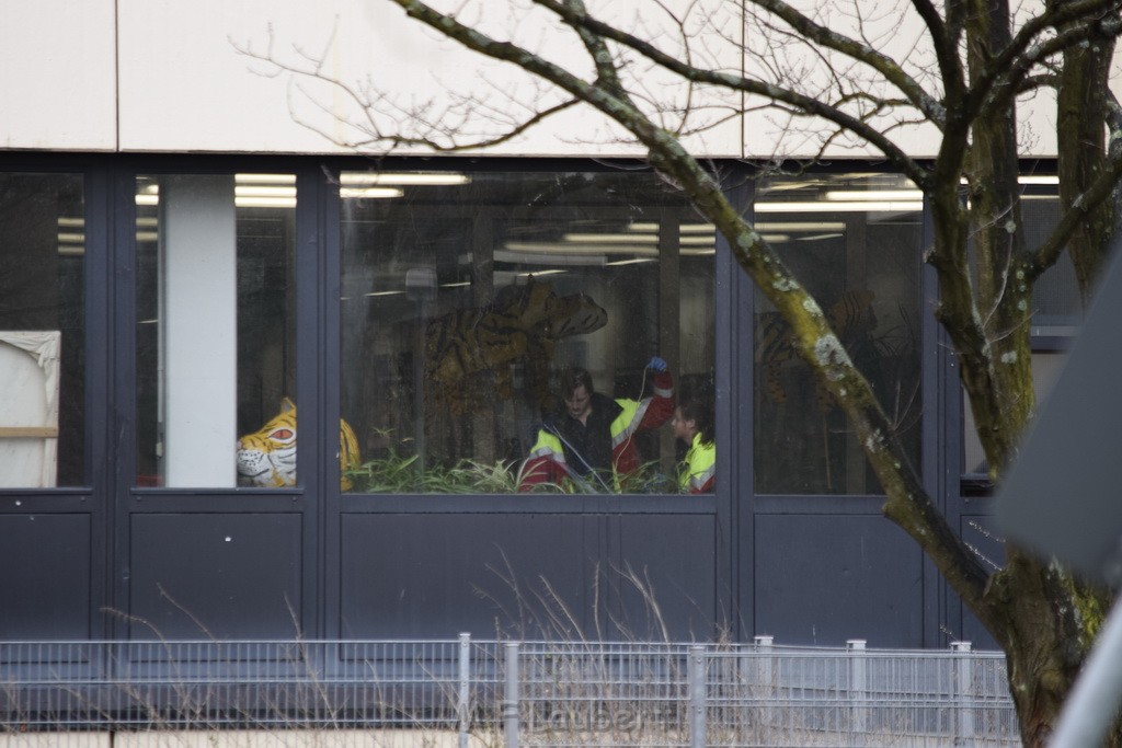 Einsatz BF Koeln Schule Burgwiesenstr Koeln Holweide P034.JPG - Miklos Laubert